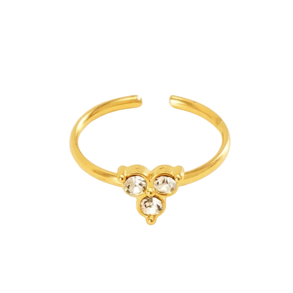 Aria Ring